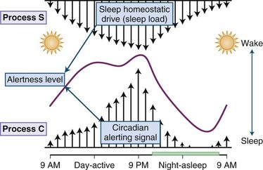 Circadian and Homeostatic